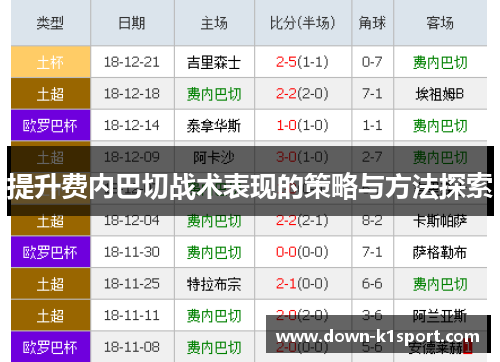 提升费内巴切战术表现的策略与方法探索